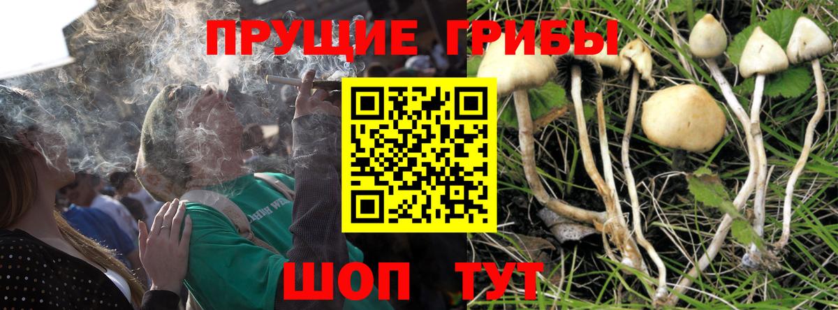 Псилоцибиновые грибы мухоморы Шатура