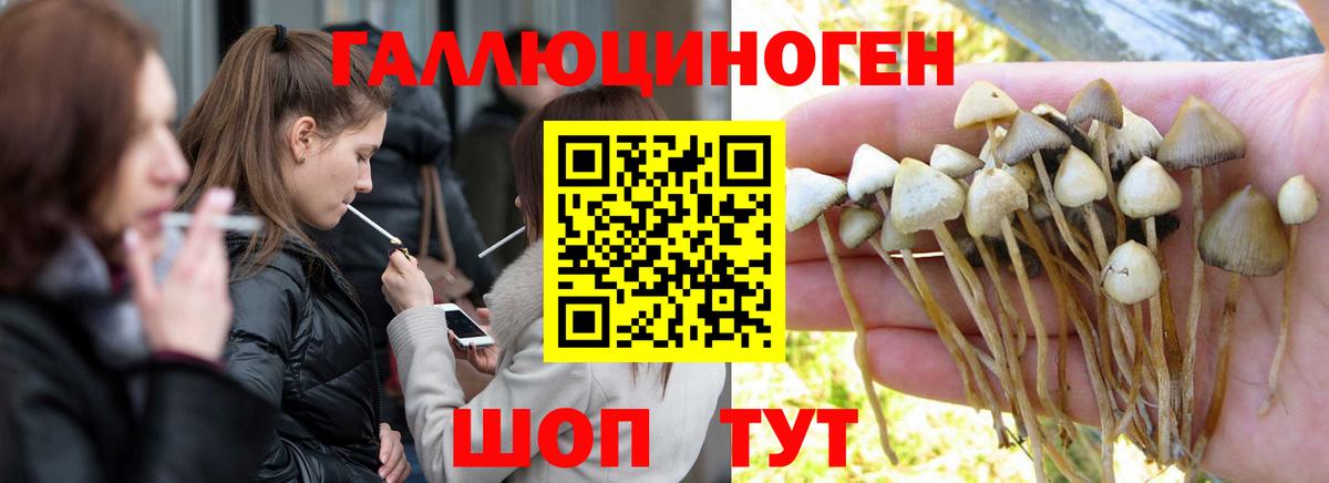 Псилоцибиновые грибы MAGIC MUSHROOMS  Вход с VPN  Шатура  Галлюциногенные грибы GOLDEN TEACHER 