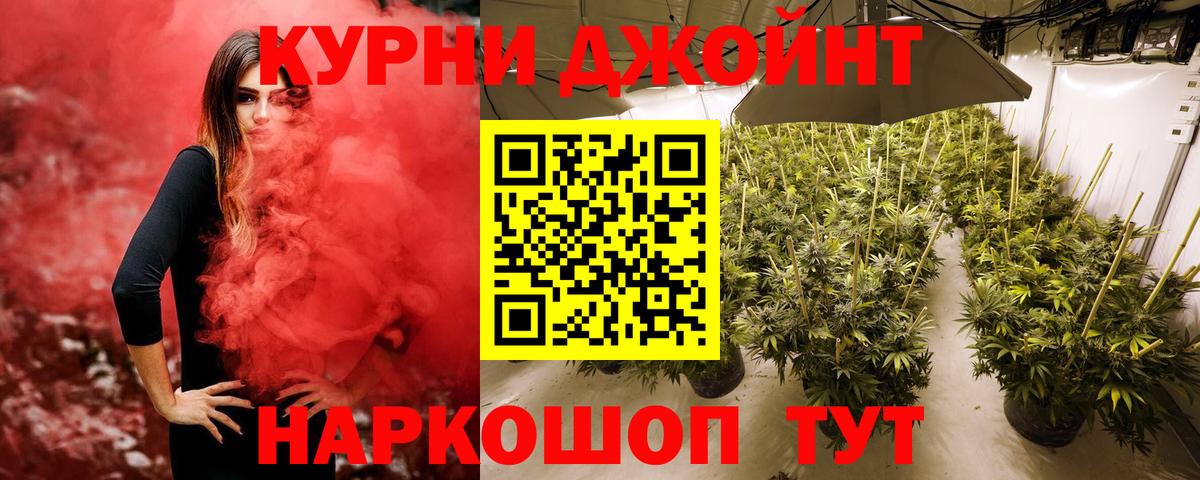 Каннабис MAZAR Шатура